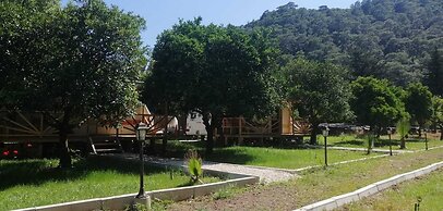 Kara Kedi Beach Bungalow