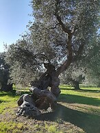 Trullo Alessandro e Villa Raffaela