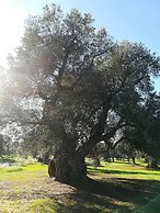 Trullo Alessandro e Villa Raffaela