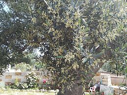 Trullo Alessandro e Villa Raffaela