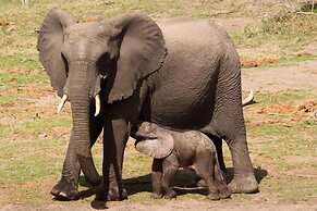 Tembe Elephant Park