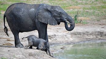 Tembe Elephant Park