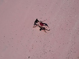 Samara II Liveaboard