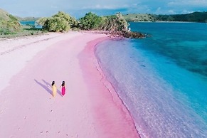 Samara II Liveaboard