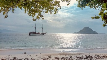 Samara II Liveaboard