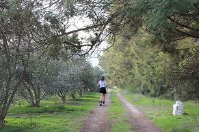 Duikersdrift Winelands Country Escape