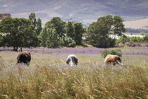 Duikersdrift Winelands Country Escape