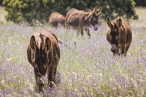 Duikersdrift Winelands Country Escape