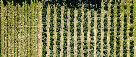 Duikersdrift Winelands Country Escape