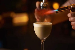 THE LIVELY FUKUOKA HAKATA