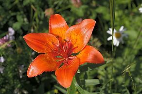 Appartamenti Ciapià