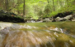 Ferienwohnungen Thanner