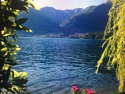 Nest on the Lake