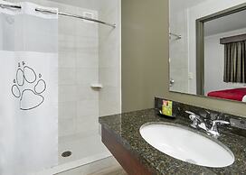 Great Wolf Lodge Arizona