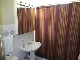 Bucktown, Urban Luxury and Convenience, Near L Train Stop at Western