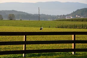 Glamping Kolpa Resort