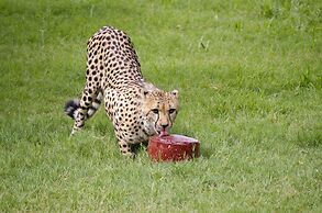 Holiday Inn Express & Suites Phoenix - Airport North by IHG