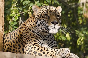 Holiday Inn Express & Suites Phoenix - Airport North by IHG