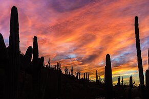 Holiday Inn Express & Suites Phoenix - Airport North by IHG