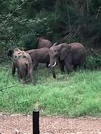 Msunduze River Lodge