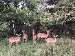 Msunduze River Lodge