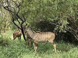 Msunduze River Lodge