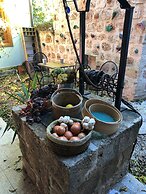 Kuyu Beergarden Hostel