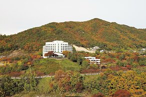 Cheongpung Resort Lake Hotel
