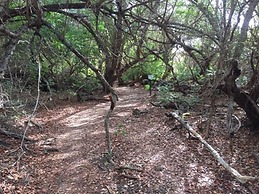 Bed & Bike Curacao - Jan Thiel