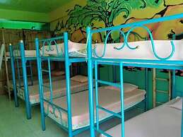 K & M House - Hostel