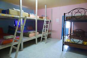 K & M House - Hostel