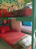 K & M House - Hostel