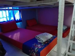 K & M House - Hostel