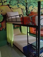 K & M House - Hostel