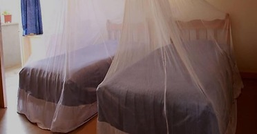 Shalom House - Hostel