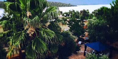 Baharin Bahce Pansiyon