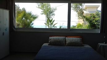 Viva B&B