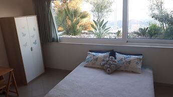 Viva B&B