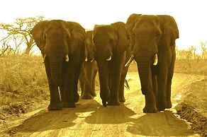 Esiweni Luxury Safari Lodge