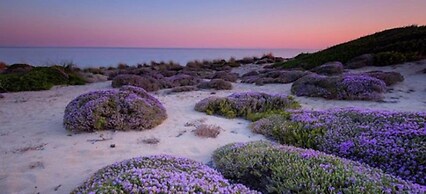 Lo Scrigno del Salento