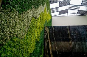 Casa San Miguel Hotel Boutique y Spa