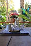 Idan Lodge In The Arava