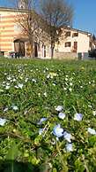 Agriturismo El Crear