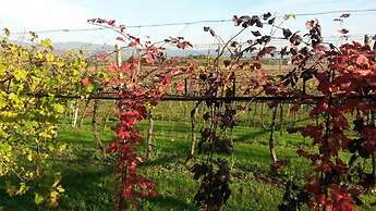 Agriturismo El Crear