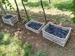Agriturismo El Crear