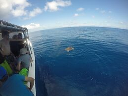Jonny's cabins drake day