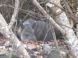 Jonny's cabins drake day