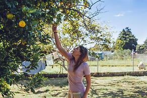 Spanish by the River - Boquete - Hostel