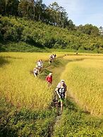 Lucky House Phra Sing Chiangmai - Hostel
