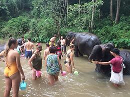 Lucky House Phra Sing Chiangmai - Hostel